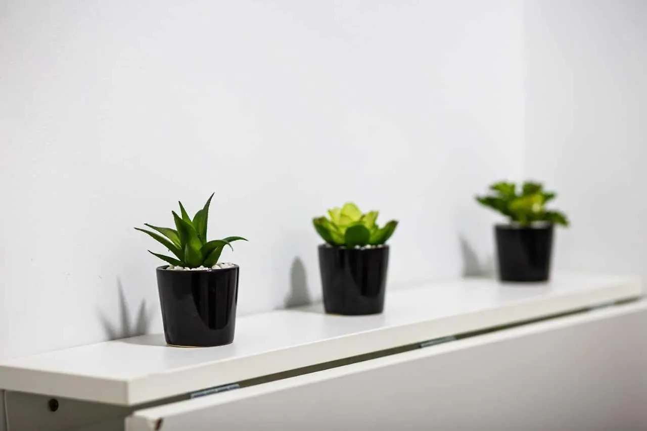 Apartamento Heroes De Sostoa Málaga Spanien