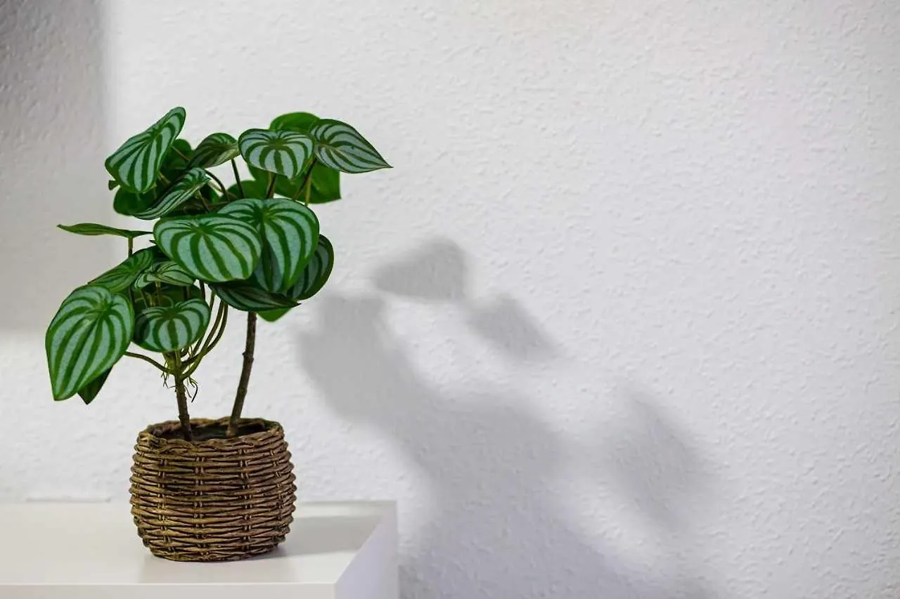 Apartamento Heroes De Sostoa Málaga Lejlighed